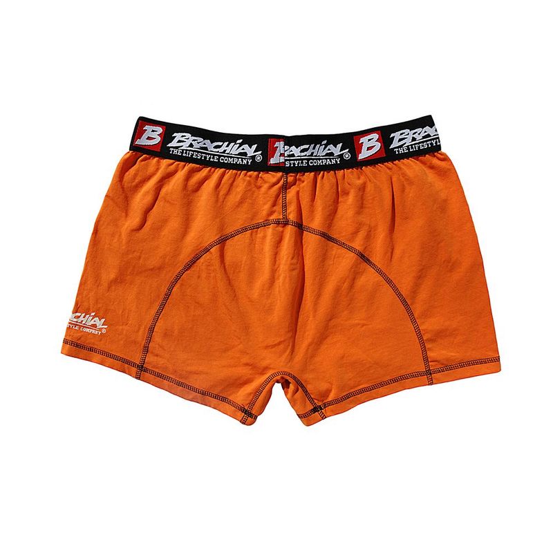 Brachial 2-Pack Boxer Shorts 